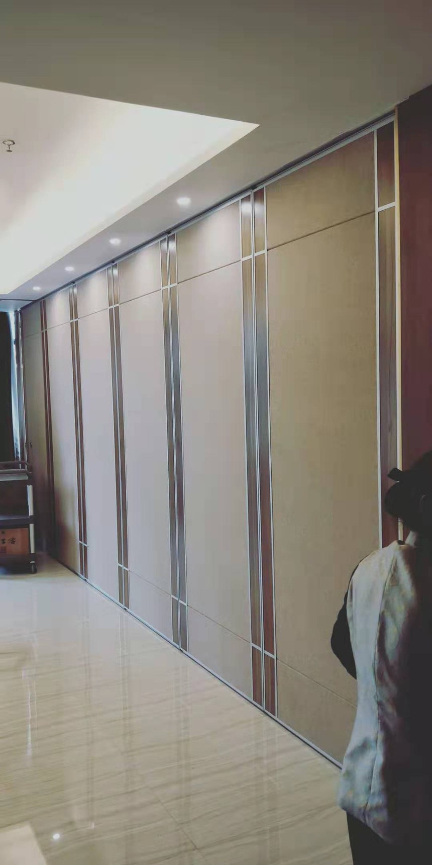 淮南纬捷大酒店，3米高